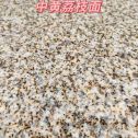 安阳黄金麻中黄荔枝面