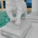 安阳 白麻花岗岩动物异形石雕-大象