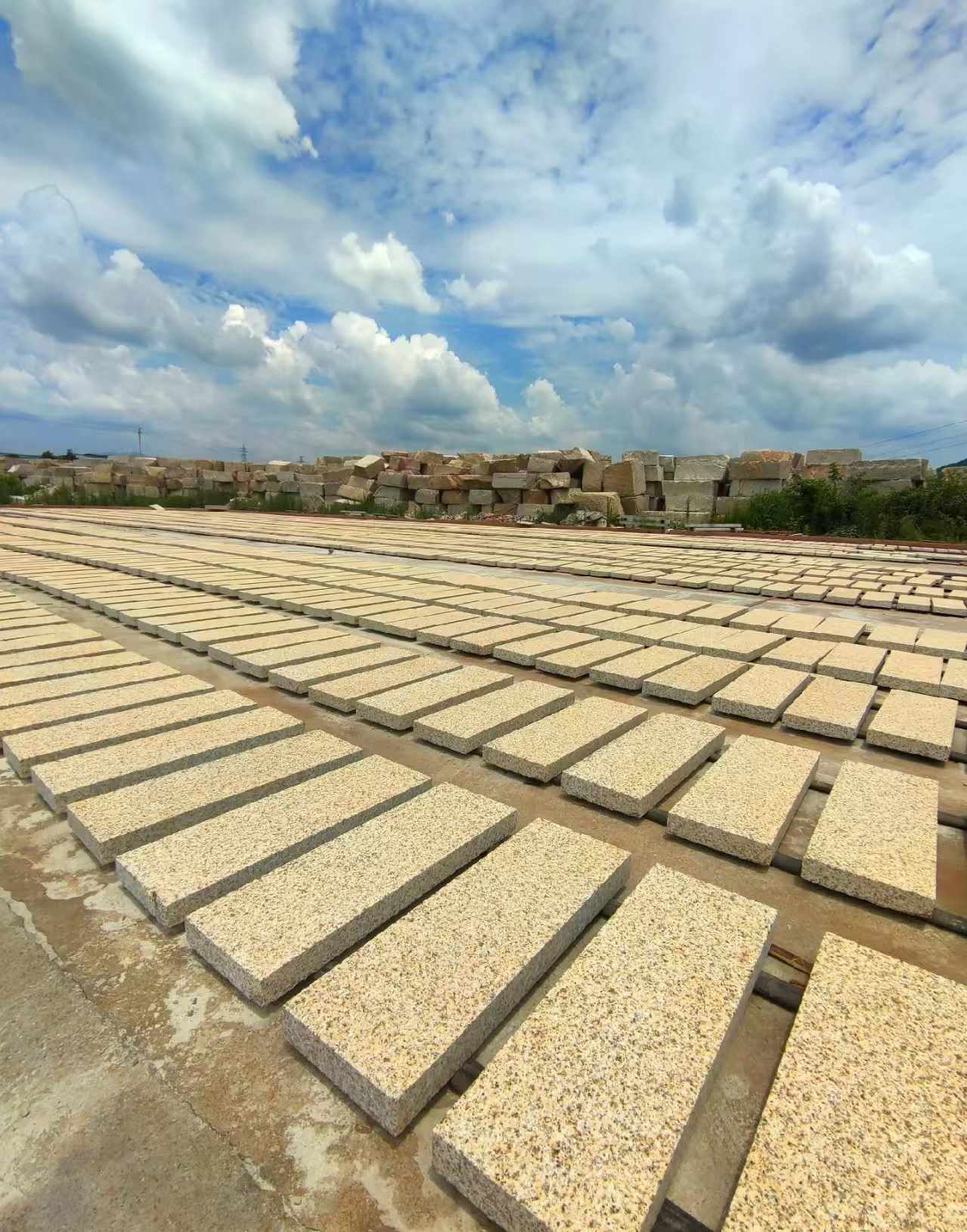 安阳 黄金麻荔枝面花岗岩石材地铺石防护中