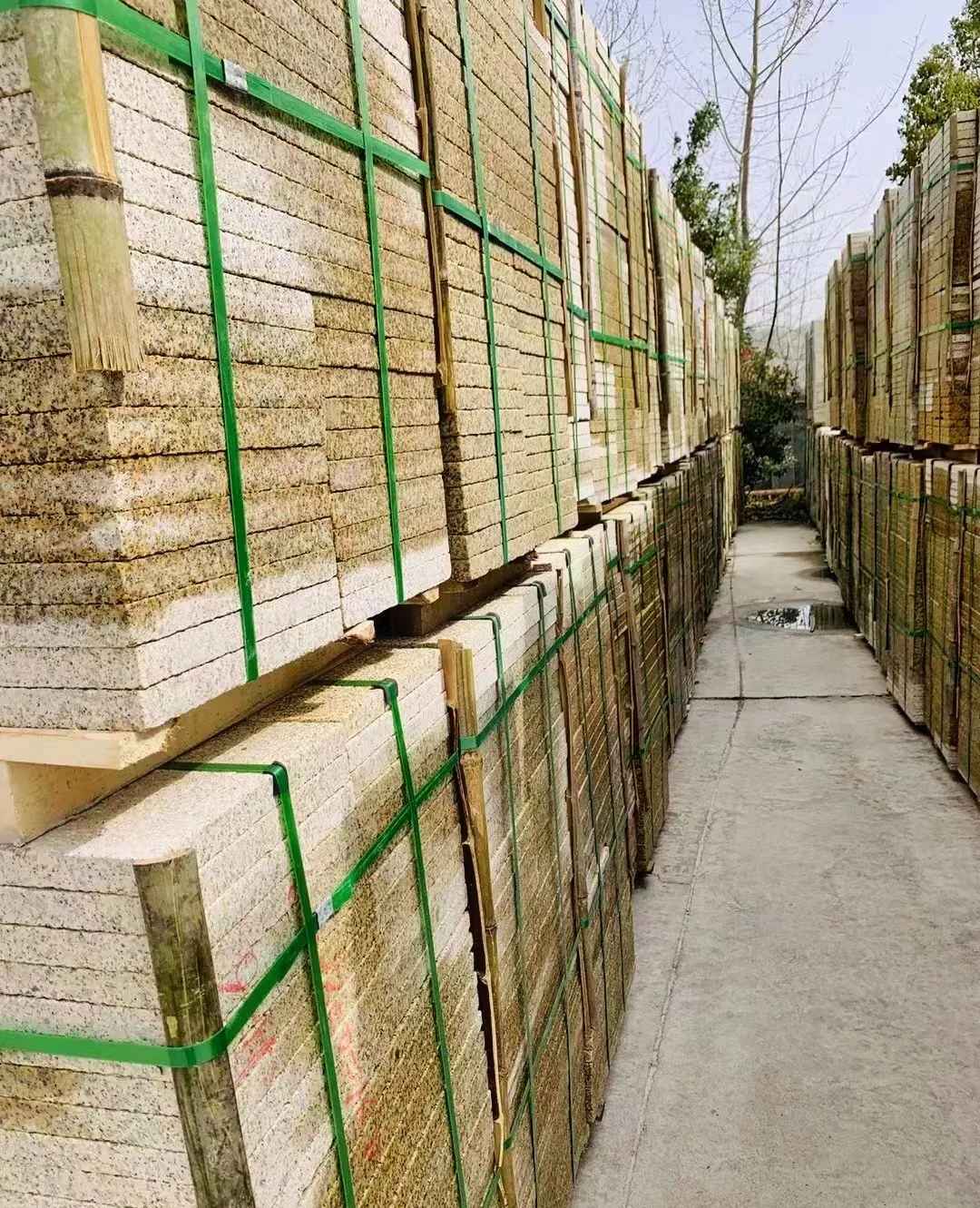 安阳 黄金麻花岗岩荔枝面地铺石