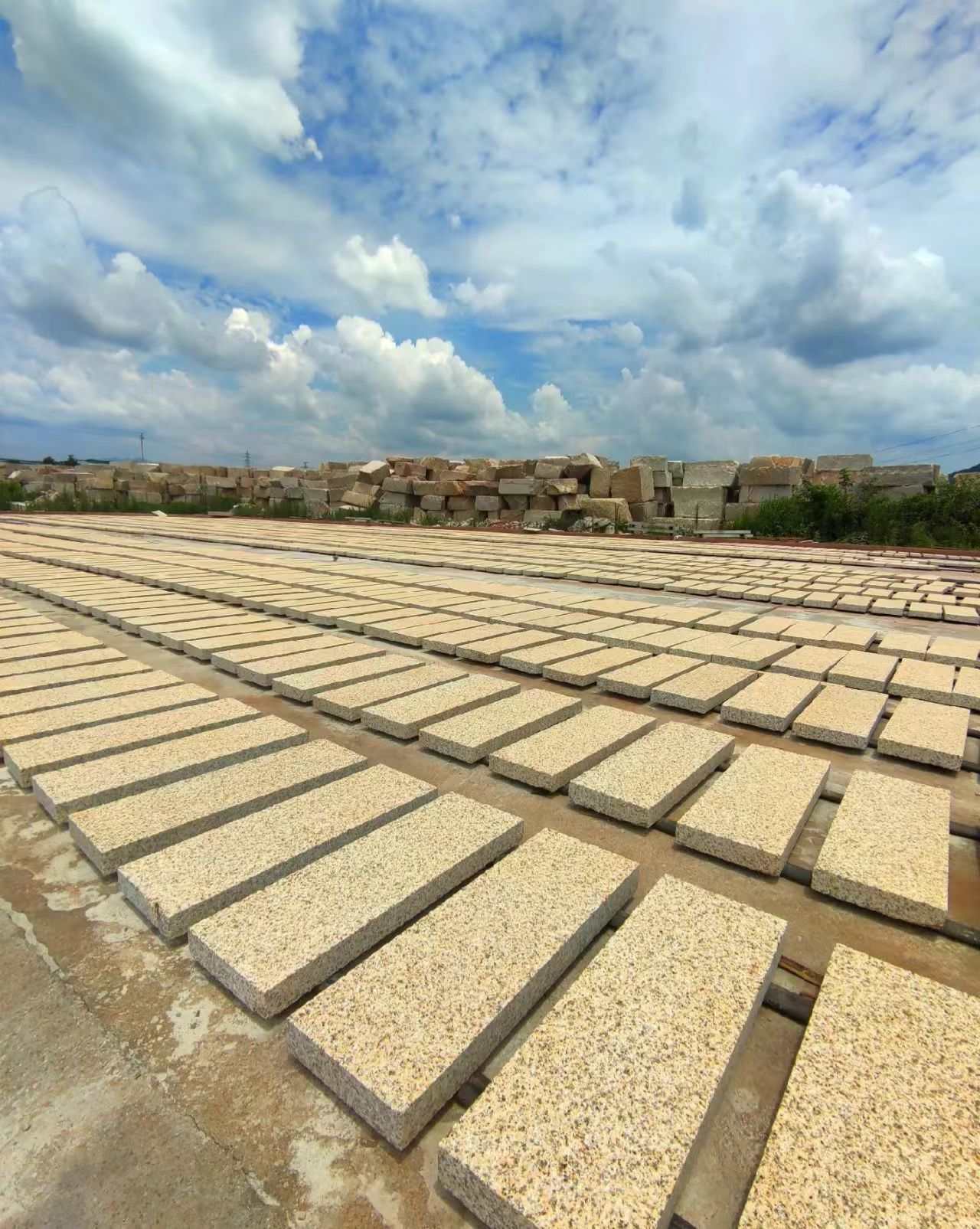 安阳 黄金麻花岗岩荔枝面地铺石防护中